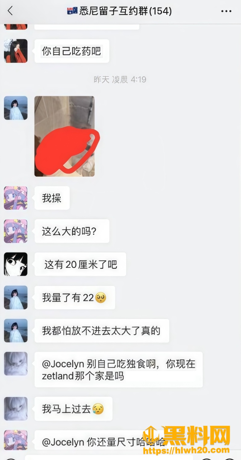 悉尼留子互约群2