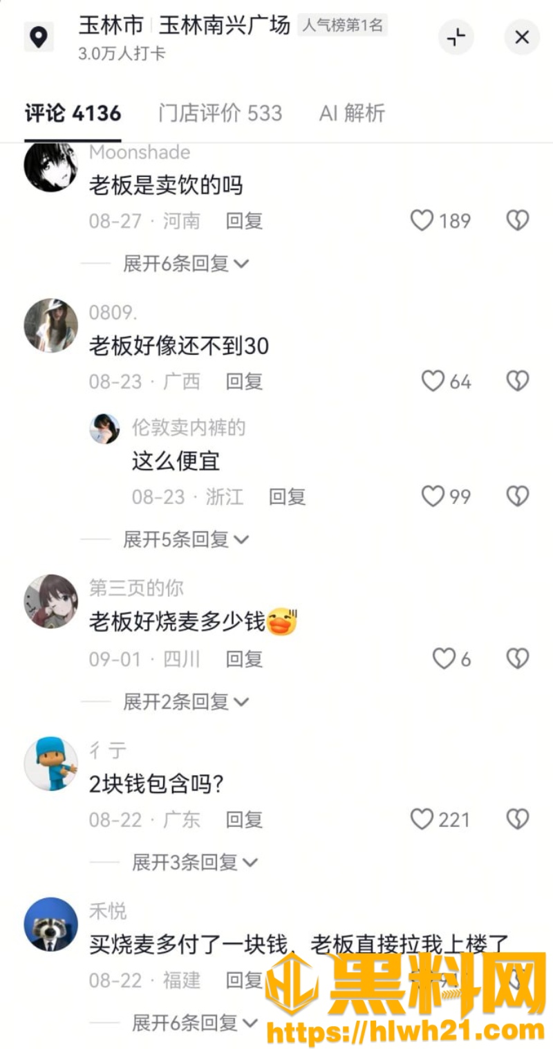 一生平安老阿姨 2