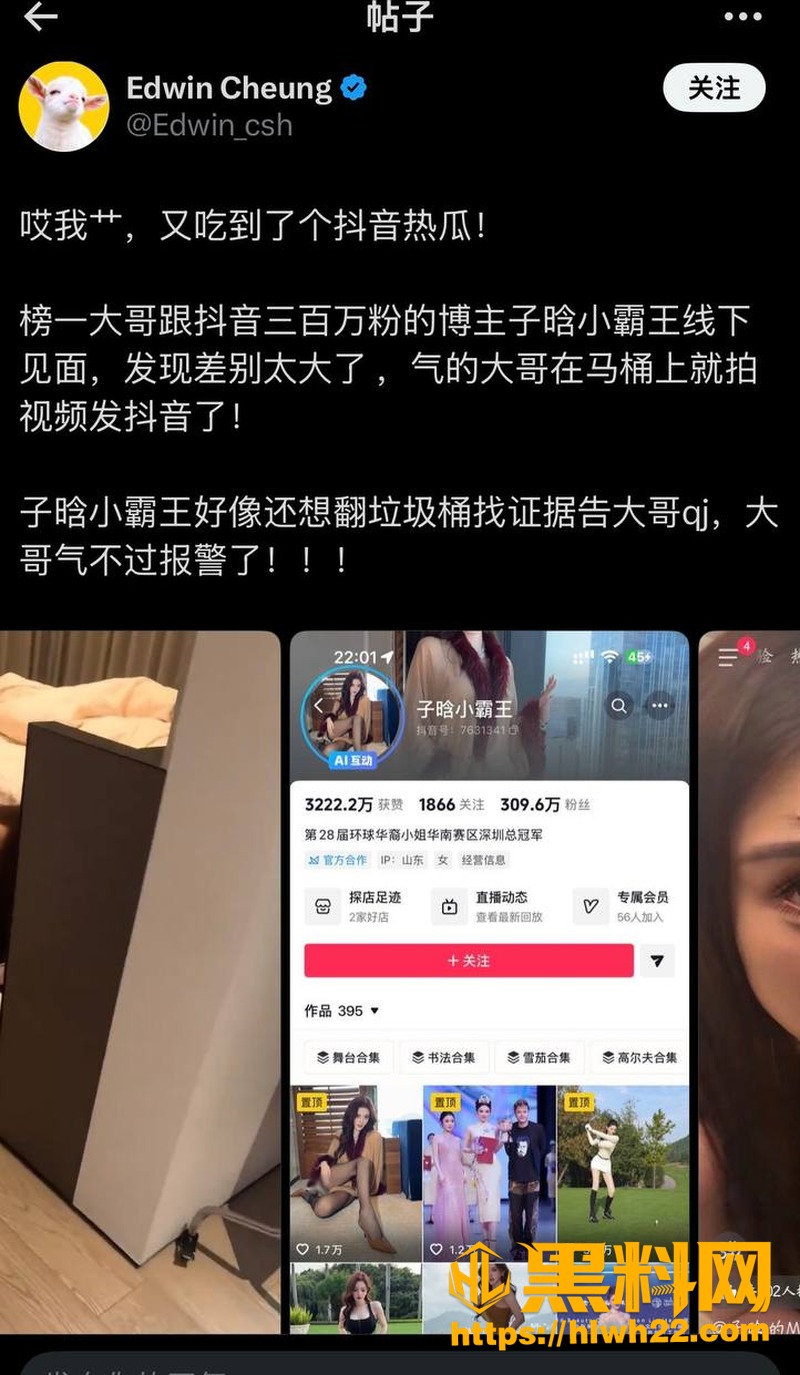 环球华裔小姐 1