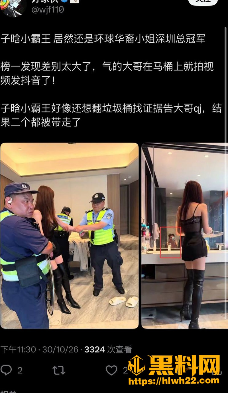 环球华裔小姐 2