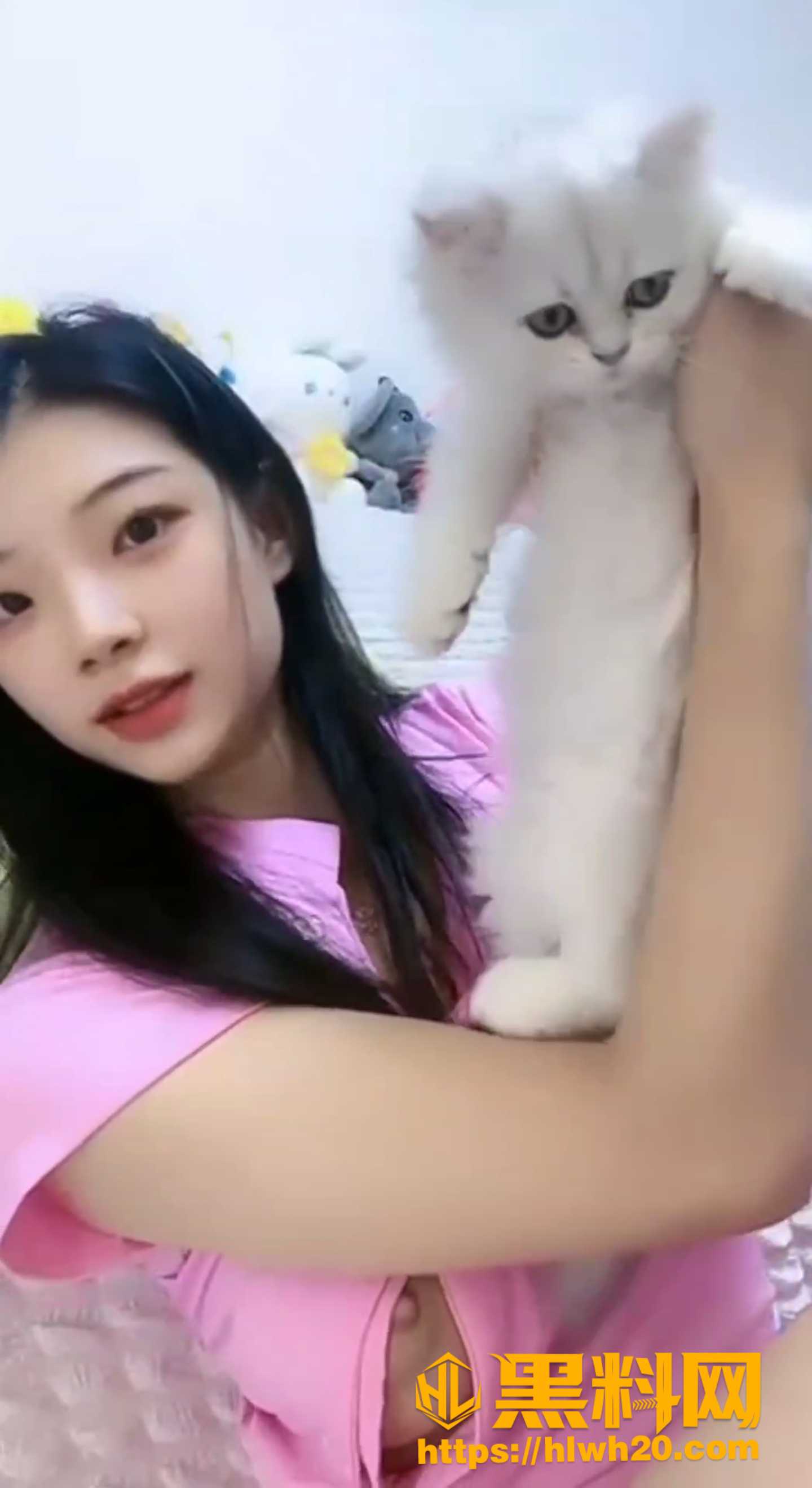 吃瓜