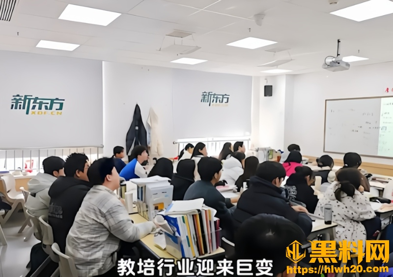 东方甄选5