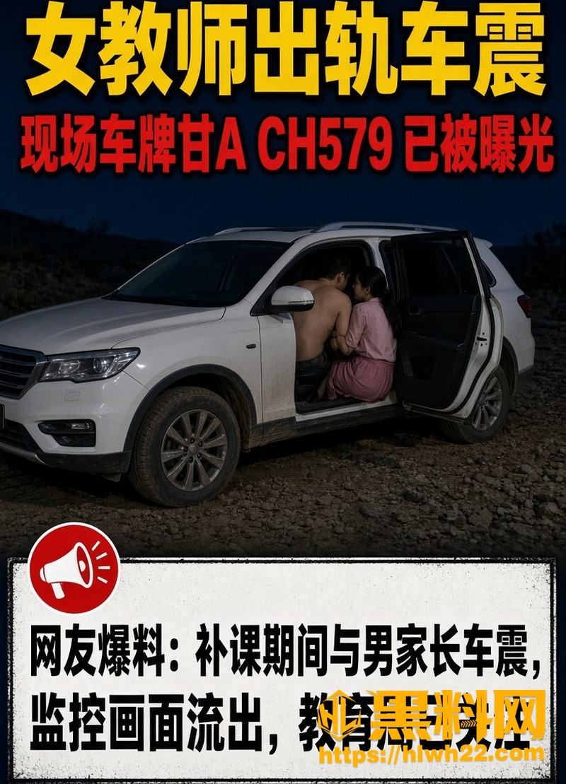 李敏事件车牌与细节被曝光 5
