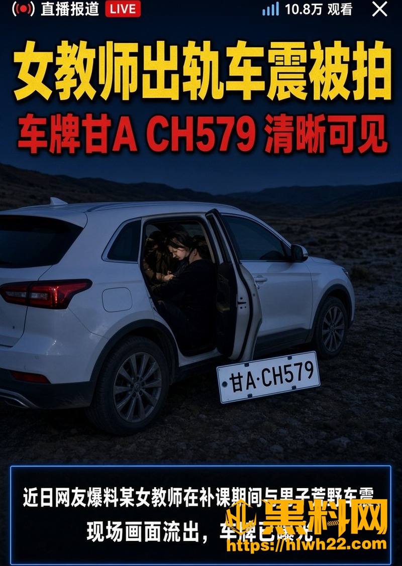 李敏事件车牌与细节被曝光 4