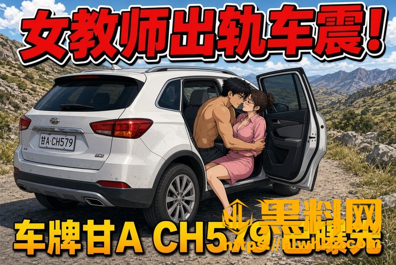 李敏事件车牌与细节被曝光 3